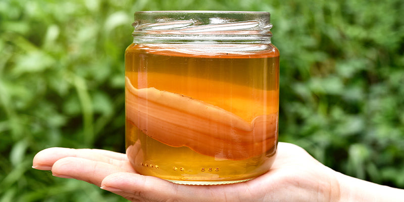 Kombucha Health Benefits