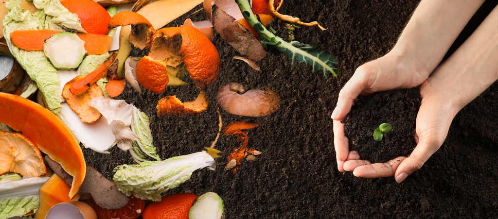 Compost 101