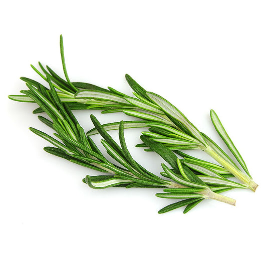 Fresh Rosemary 20g