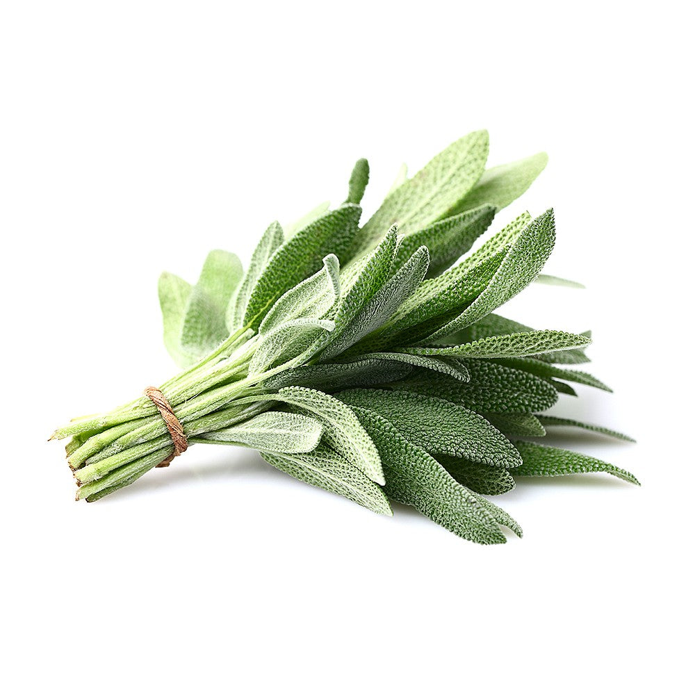 Fresh Sage 20g