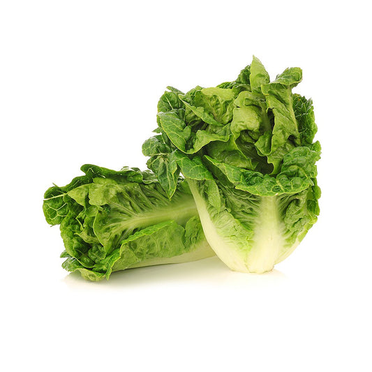 Little Gem Lettuce 2 pack